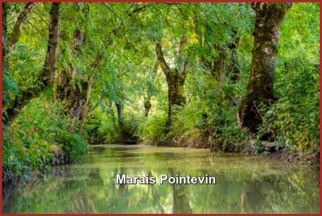 ღ꧁ღ╭⊱ꕥ   85 La Vendée  ꕥ⊱╮ღ꧂ღ