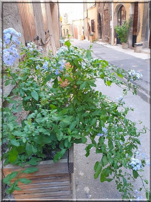 1012 -  Forcalquier dans les Alpes de Haute-Provence (04)