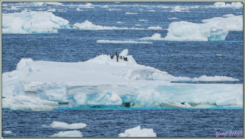 03/03/2022 : navigation très monotone entre Mer de Ross et Mer d'Amundsen - Antarctique