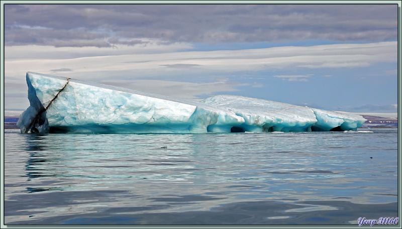 Iceberg et front du glacier - Bethune Inlet - Devon Island - Nunavut - Canada