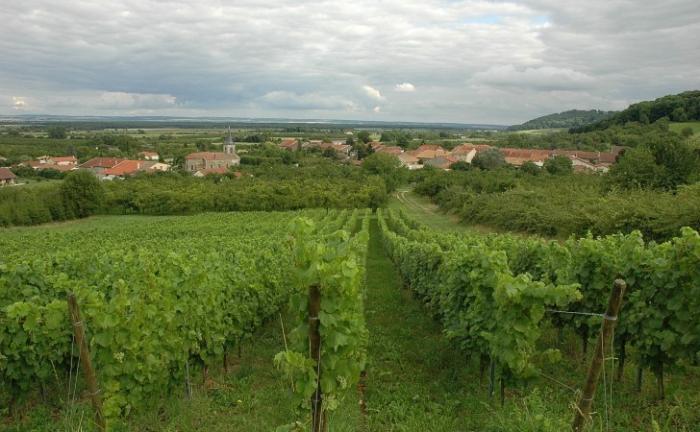 Département de la Meuse