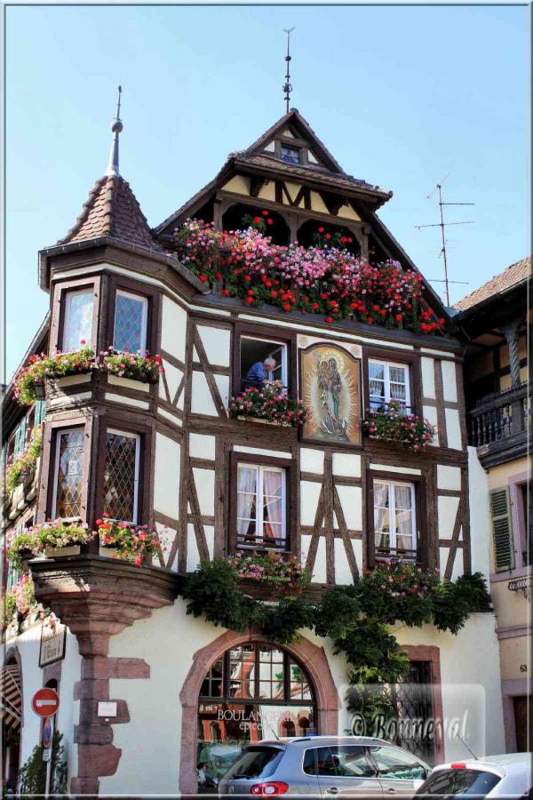 Alsace route de vins de Colmar à Ribeauvillé Kaysersberg maison Loewert    