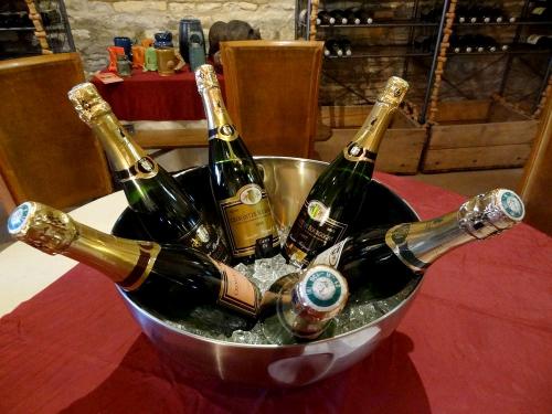 Le domaine Brigand à Massingy