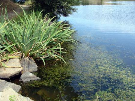 etang_du_Val_St_Martin_Pornic__10_