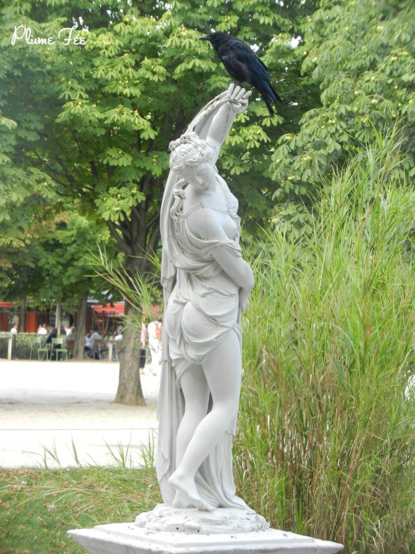 Image020.jpg