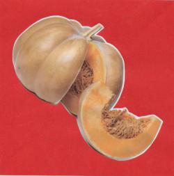 La courge