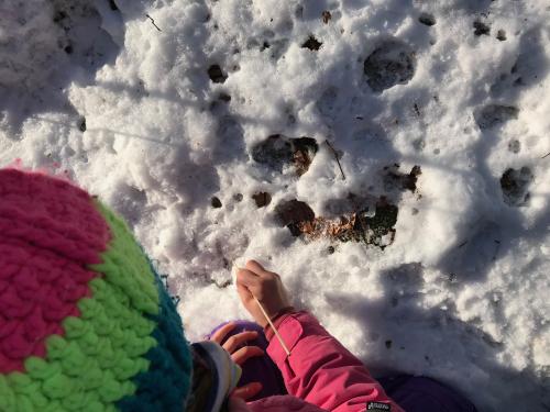 Sortie du 8 janvier 2021