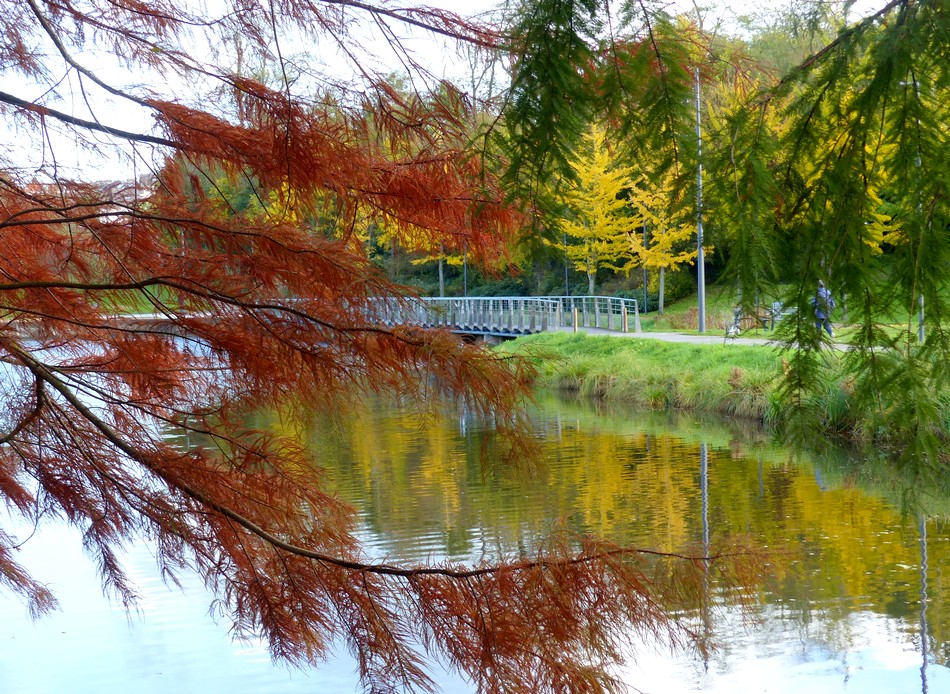 Le parc avant l'hiver