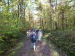 La randonnée du 11 novembre en forêt de Grimbosq