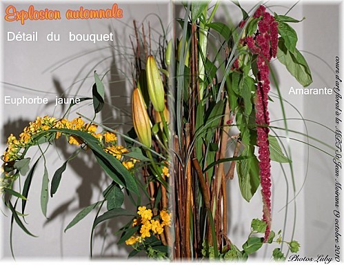 2010 19 10 explosion automnale (1)