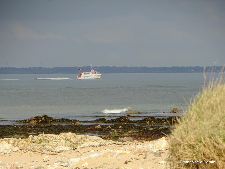 Balade à Noirmoutier février 2020