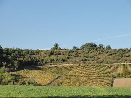 -Le Château de Mauvilly