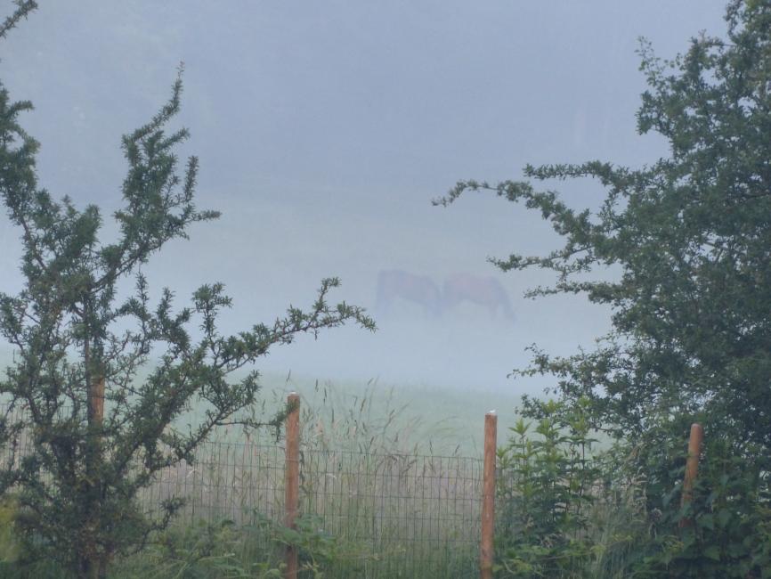 Entre le soleil et la lune mon coeur balance...