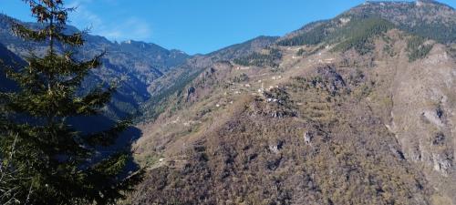 Un peu de TRABZON !