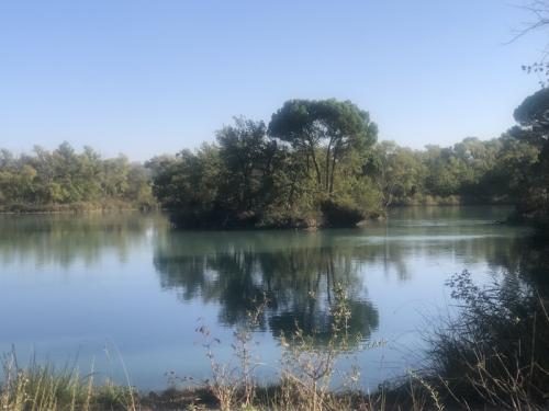 Autour de Manosque (04)