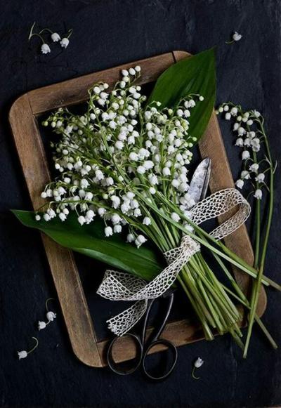 Bouquets de muguet