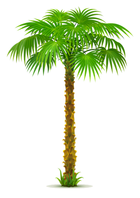 ѼVegetation