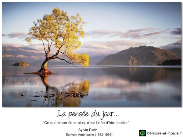 La pensée du jour (162)