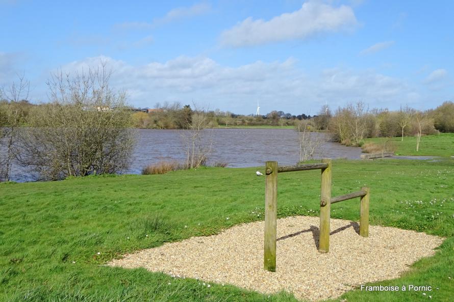 Lac de Bourgneuf en retz - 2020 