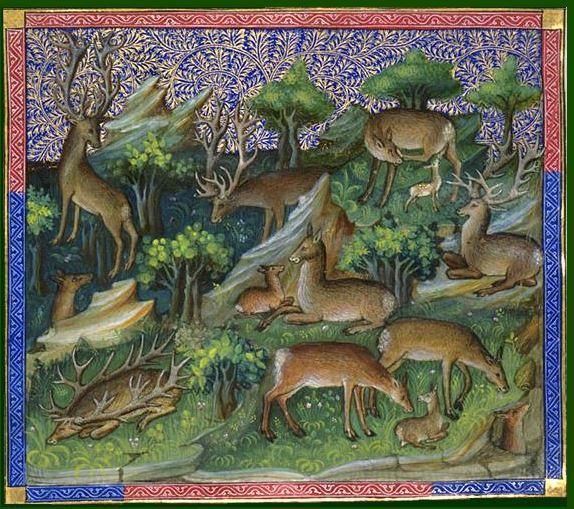 "La forêt Bourguignonne à la fin du Moyen-Âge", une conférence de Corinne Beck pour la Société Archéologique et Historique du Châtillonnais