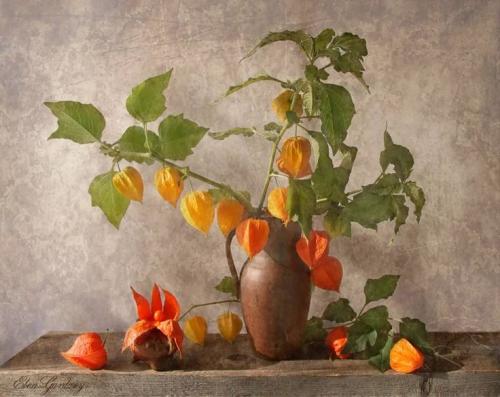 encore des fleurs