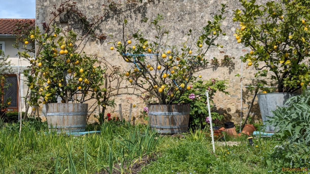 à la maison en Avril 