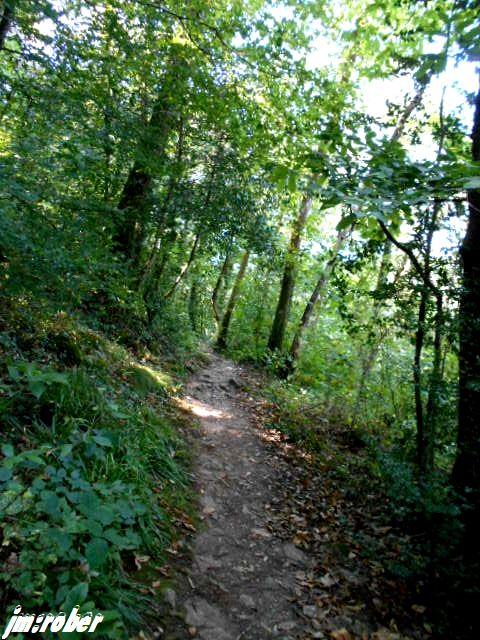 Saint Junien : Randonnée au site Corot et la vallée de la glane  (1)
