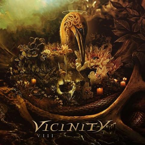 VICINITY - "Distance" Clip