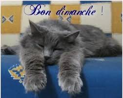 RÉFLEXION DE LA SEMAINE  18/10/2015
