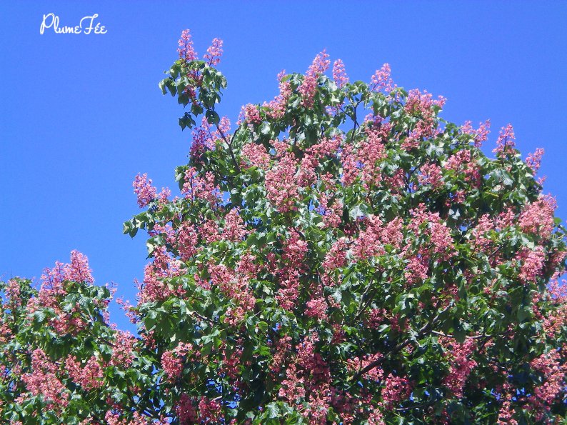 Image009.jpg