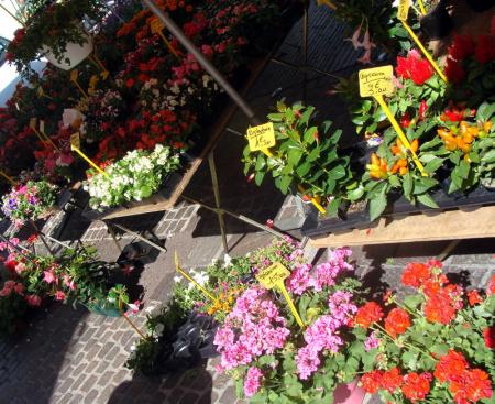 Marche_des_halles_et_de_la_terrasse__31