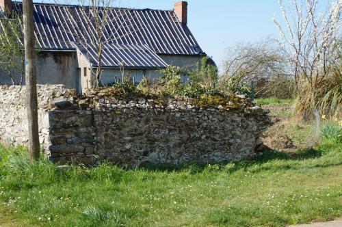 Saint Aubin de Luigné (fin du circuit)