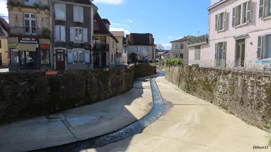 Salie du Béarn