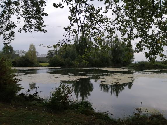 RV reflets octobre 2/2
