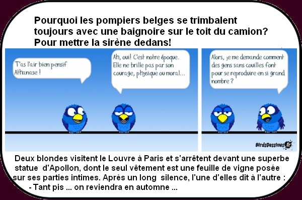 On ne rate pas l'humour du dimanche chez "les Tiot".