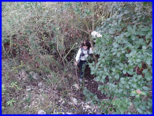 Le vallat des Brayes