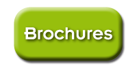 Accueil
