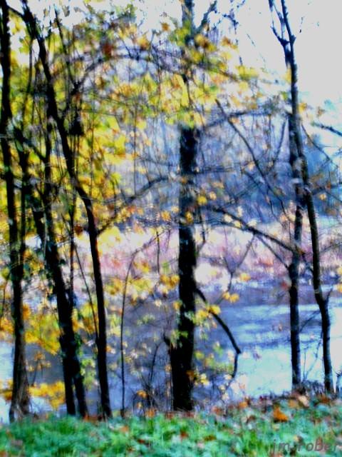 Balade matinale d'Automne sur les bords de Vienne 