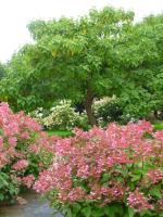 En vacances il y a eu / 2/