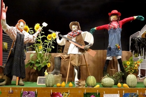 "Le jardinier amateur", l'exposition 2012 des Amis du Canton d'Aignay le Duc