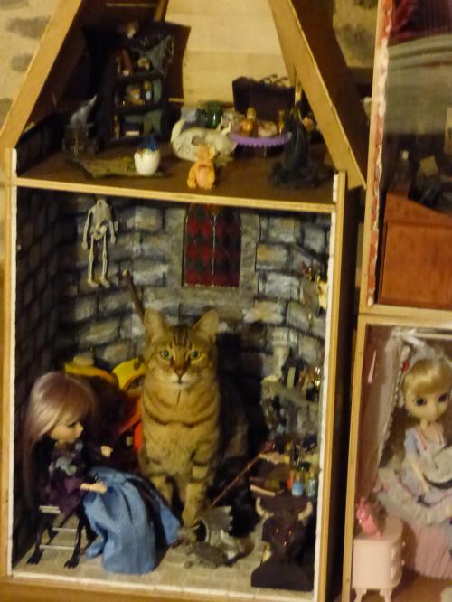 Coup de baguette magique chez Fauna!