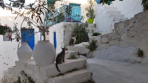 ASTY, encore et toujours !