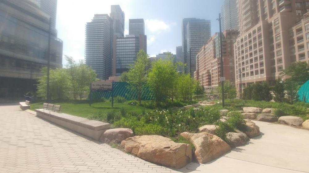 Long Weekend in Toronto from May 17th 2024 until May 20th 2024: Second Day