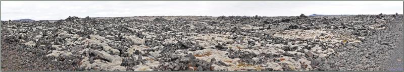 07/06/2023 : nous nous dirigeons vers le Blue Lagoon tout en faisant de la géologie, de la botanique ou de l'ornithologie lorsque l'occasion se présente - Péninsule de Reykjanes - Islande