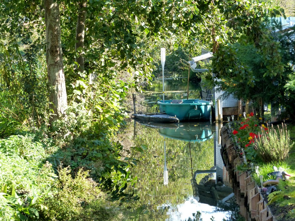 Dimanche 15 octobre, 26°