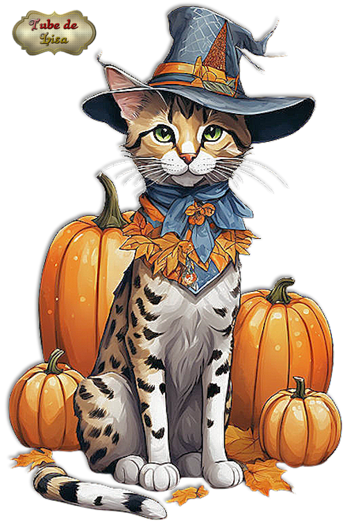 Halloween animaux 4