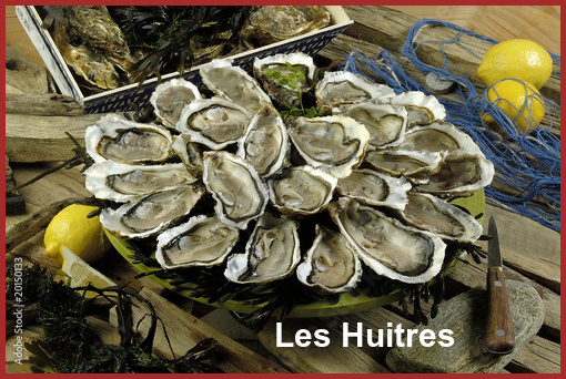ღ꧁ღ╭⊱ꕥ   29  La Bretagne  ꕥ⊱╮ღ꧂ღ