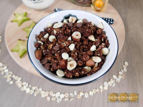  Granola au chocolat & aux pépites