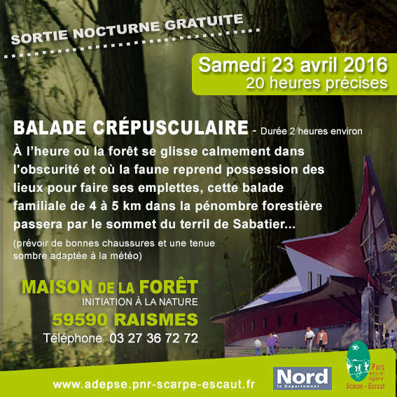 Balade crépusculaire en forêt, à Raismes le 23 avril