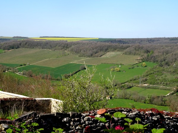 Visite de Flavigny sur Ozerain, avec les adhérents de Villages Anciens-Villages d'Avenir....